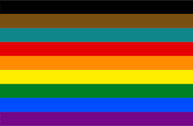 Eleições 2020: existe cota para LGBT?