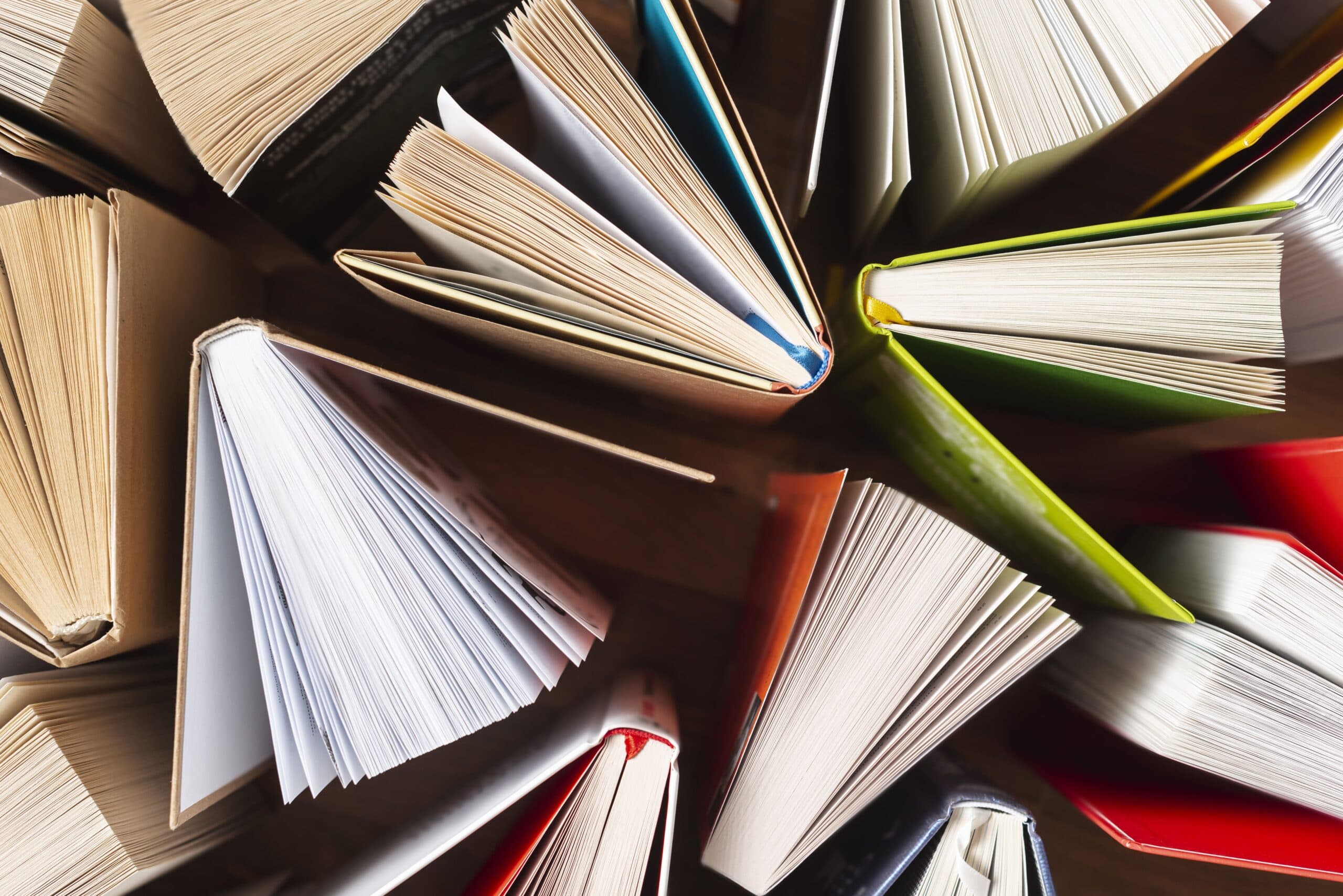 Dinheiro: imagem mostra diversos livros entreabertos