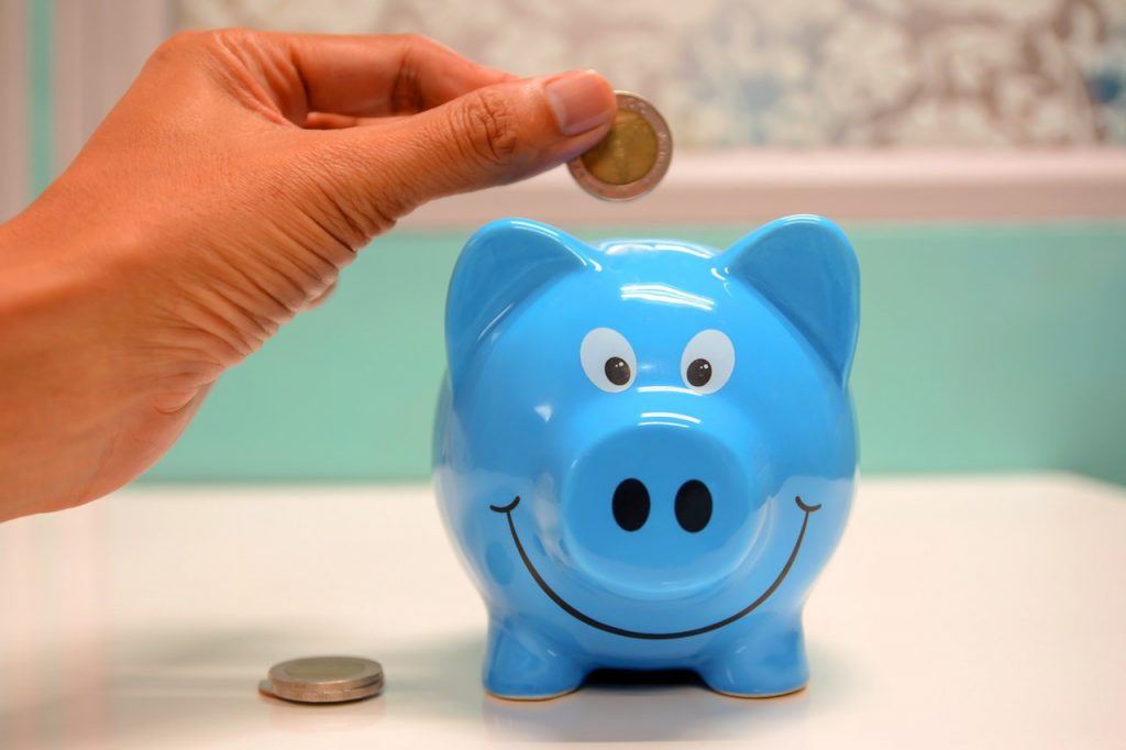 como-pedir-credito-emprestado-pork-image